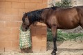 Siatka na siano dla zwierząt