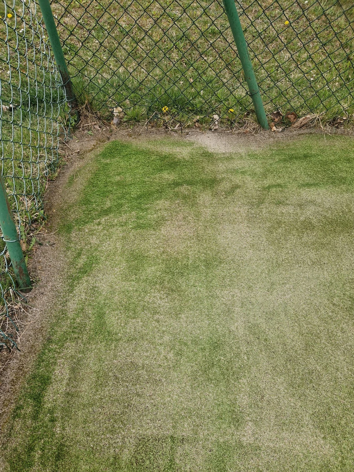 Narożnik kortu po czyszczeniu